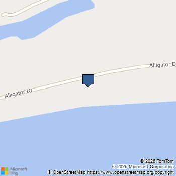 1187 Alligator Drive Alligator Point, FL MLS# 397107