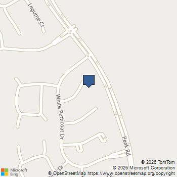 20911 Grand Surprise Court Cypress, TX MLS# 23477282