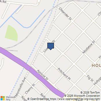 2915 Live Oak Street New Orleans, LA MLS# 2558055