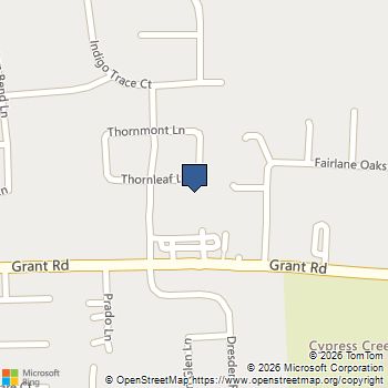 10207 Thornleaf Lane Houston, TX MLS# 90863071