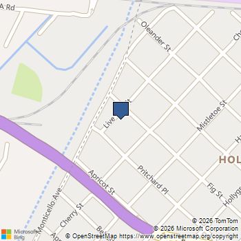 2917 Live Oak Street New Orleans, LA MLS# 2558056