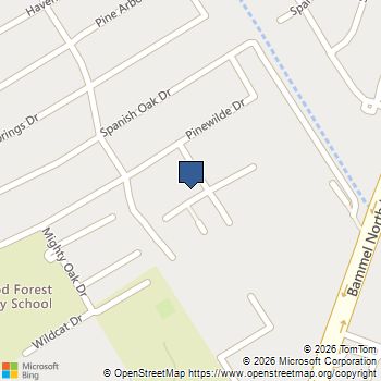 12003 Greenwood Forest Drive B Houston, TX MLS# 96257545