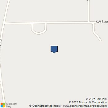 296 SW Scout Glen Fort White, FL MLS# 387629