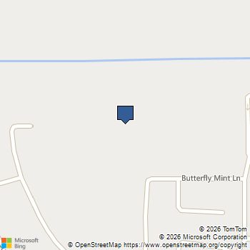 16414 Switchgrass Grove Lane Hockley, TX MLS# 46970456