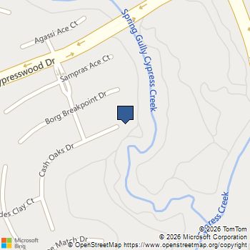6203 Cash Oaks Drive Spring, TX MLS# 10278825
