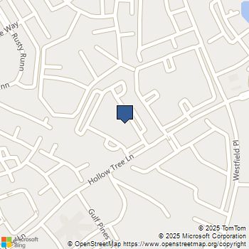 200 Hallow Tree Lane 2095-1 Houston, TX MLS# 44504172