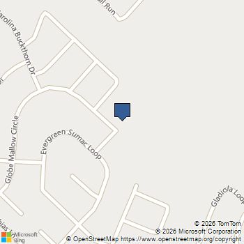 175 Mountain Pea Rd Kyle, TX MLS# 2819863