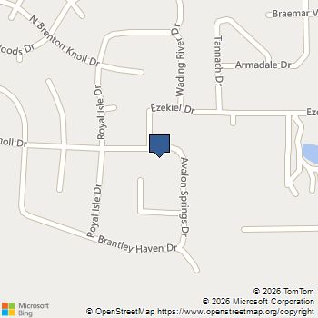 11815 S Brenton Knoll Drive Tomball, TX MLS# 36276973