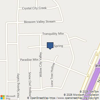 194 Cold Springs Spg Buda, TX MLS# 1488007