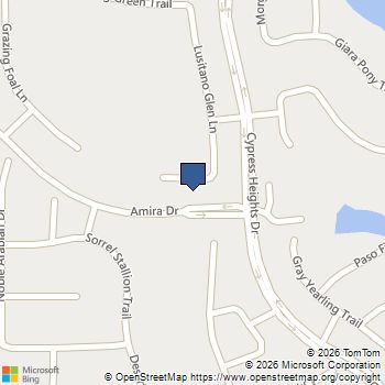 19211 Filly Park Circle Tomball, TX MLS# 73577539