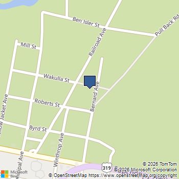 30 Bernard Avenue Sopchoppy, FL MLS# 395173