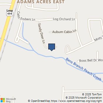 22290 Rustling Cone Ct Court Porter, TX MLS# 15527167