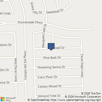 166 Twistleaf Dr Buda, TX MLS# 9603540