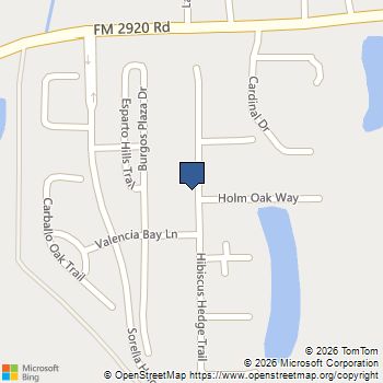 21807 Hibiscus Hedge Trail Tomball, TX MLS# 52499334