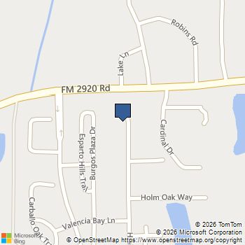 21911 Hibiscus Hedge Trail Tomball, TX MLS# 58514695