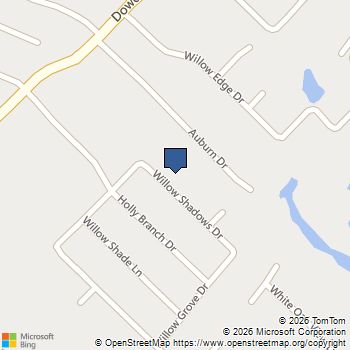 22018 Willow Shadows Tomball, TX MLS# 80491982
