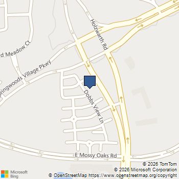 62 Dobbs View Lane Spring, TX MLS# 46760533