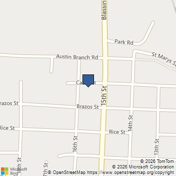 1525 Calvit Street Hempstead, TX MLS# 77611924
