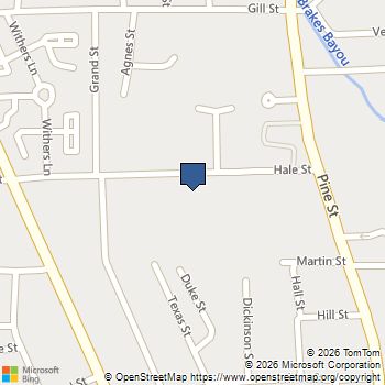 1305 Hale Street Beaumont, TX MLS# 63359339