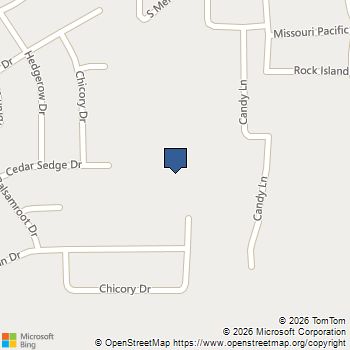 26422 Cedar Sedge Drive Magnolia, TX MLS# 81611055