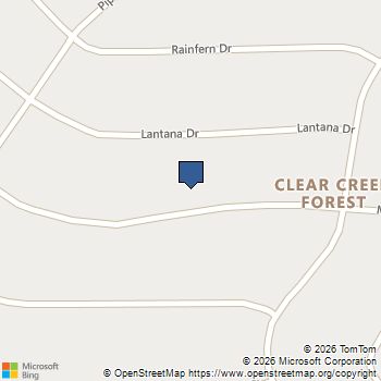 22310 Meadowsweet Drive Magnolia, TX MLS# 66332150