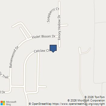 10703 Catclaw Court Tomball, TX MLS# 37396860