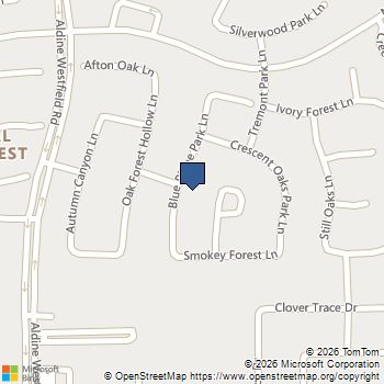 30938 Blue Ridge Park Lane Spring, TX MLS# 23204403
