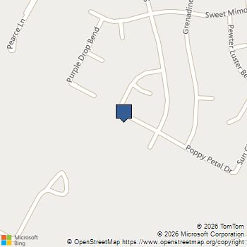 7706 Poppy Petal Loop Del Valle, TX MLS# 2456173