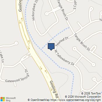 101 Yewleaf Drive The Woodlands, TX MLS# 21318769