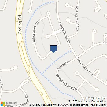 34 E Wandering Oak Drive The Woodlands, TX MLS# 48992034