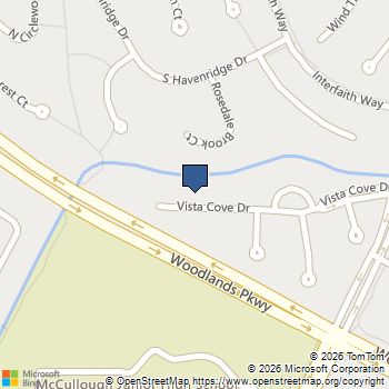 58 Vista Cove Drive The Woodlands, TX MLS# 50612742