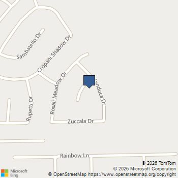 21034 Longeni Drive New Caney, TX MLS# 11892706