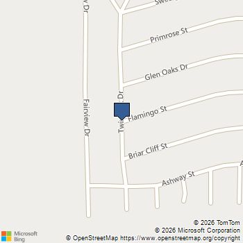 1307 Flamingo Street Conroe, TX MLS# 10146026