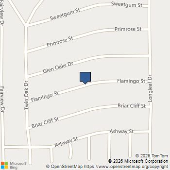 0 Flamingo Street Conroe, TX MLS# 13480013