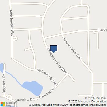 135 Courageous Side Way Magnolia, TX MLS# 71290701