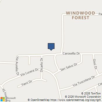 21377 Carosella Drive New Caney, TX MLS# 95008245