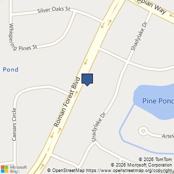 2406 Roman Forest Boulevard New Caney, TX MLS# 13506983