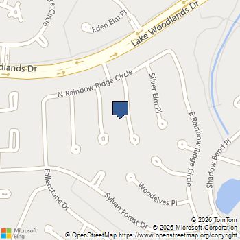 24 Gannet Hollow Place The Woodlands, TX MLS# 3861525
