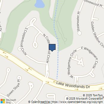 34 N Copperknoll Circle Spring, TX MLS# 10029315