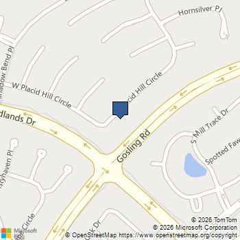 66 S Placid Hill Circle The Woodlands, TX MLS# 79398657