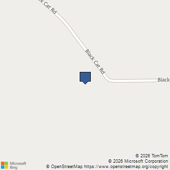 TBD Black Cat Road Sour Lake, TX MLS# 58559012