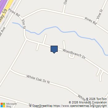 55 Woodbranch B Drive New Caney, TX MLS# 53882317