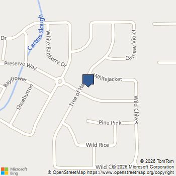 17693 Tree Of Heaven Conroe, TX MLS# 94839494