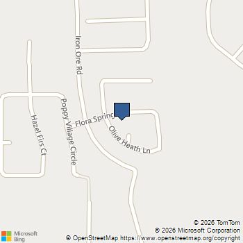21433 Flora Springs Lane Magnolia, TX MLS# 48917504