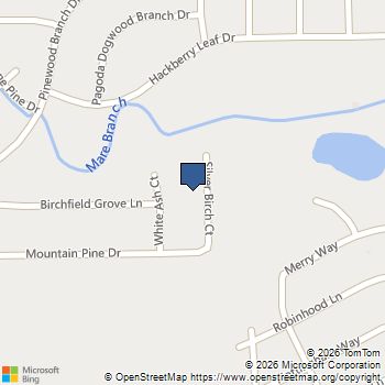 17322 Silver Birch Court New Caney, TX MLS# 13590170