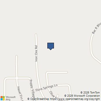 21230 Natalia Grove Magnolia, TX MLS# 69136161