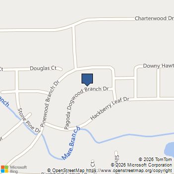 22555 Pagoda Dogwood Branch Drive New Caney, TX MLS# 10136216