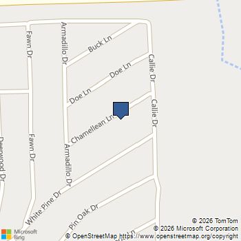 Lot 179 Chamelleon Lane Hempstead, TX MLS# 94381281