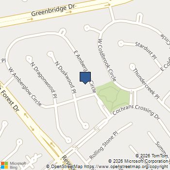31 E Amberglow Circle The Woodlands, TX MLS# 74247413