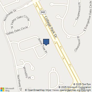 127 Anise Tree Place The Woodlands, TX MLS# 21091073